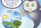 Educação Ambiental é o caminho para o uso racional da água e descarte adequado dos esgotos