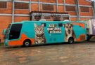 Prefeitura de Camboriú dará início a mutirão de castração animal com expectativa de 480 atendimentos