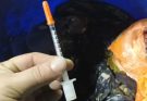 Seringas descartadas de forma irregular acendem alerta em Camboriú 
