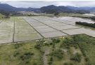 Parque Inundável avança para a fase de licitação em Camboriú